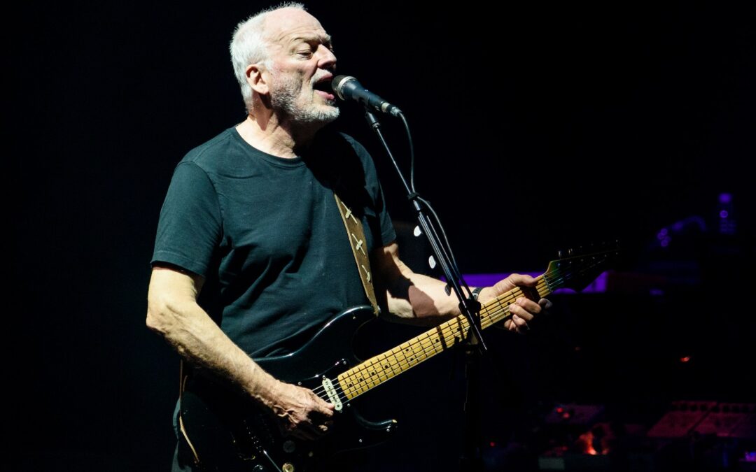 David Gilmour Blames Greed for Lack of Next Pink Floyd