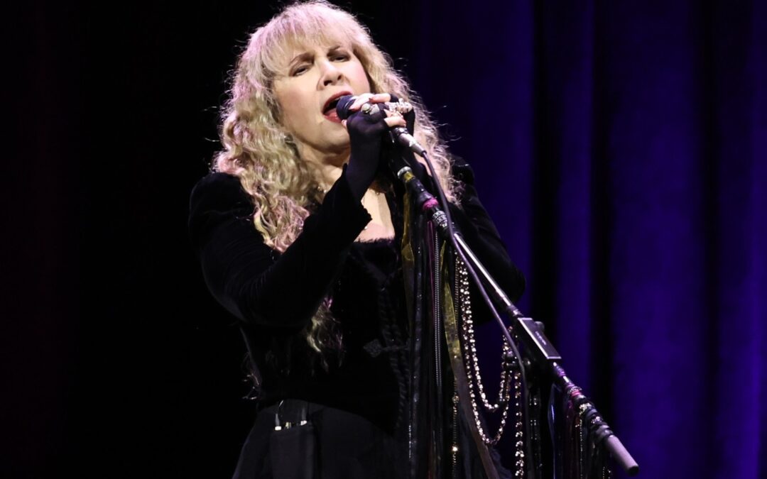 ‘Childless Dog Lady’ Stevie Nicks Echoes Swift’s Call to Vote