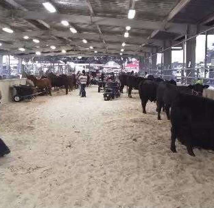 The Polk County Youth Fair Runs Through Jan. 31. How it Became A Symbol of Community